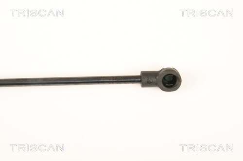 TRISCAN 8710 25252 Gasfeder, Heckscheibe