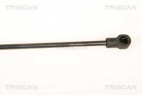 TRISCAN 8710 25253 Gasfeder, Heckscheibe