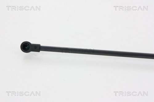 TRISCAN 8710 25255 Gasfjäder, bagageutrymme