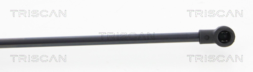 TRISCAN 8710 25256 Gasfjäder, bagageutrymme