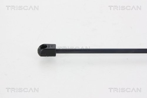 TRISCAN 8710 25257 Gasfjäder, bagageutrymme