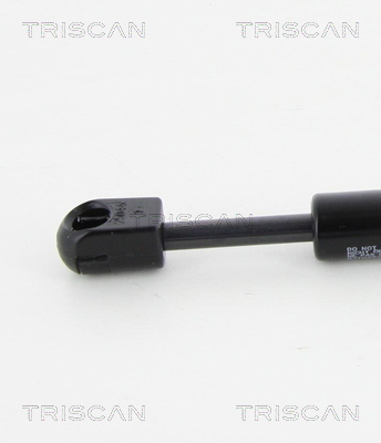 TRISCAN 8710 25262 Gasfjäder, bagageutrymme