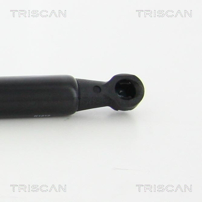 TRISCAN 8710 25268 Gasfjäder, bagageutrymme