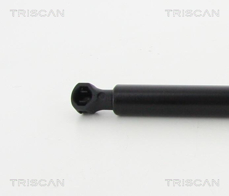 TRISCAN 8710 25273 Gasfjäder, bagageutrymme