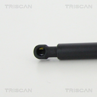 TRISCAN 8710 25275 Gasfeder, Heckscheibe