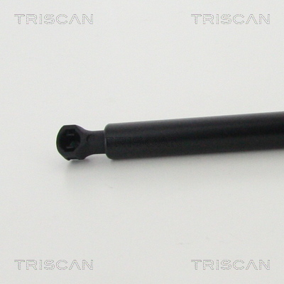 TRISCAN 8710 25276 Gasfjäder, bagageutrymme