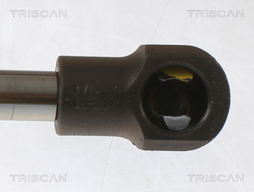 TRISCAN 8710 25280 Gasfjäder, bagageutrymme