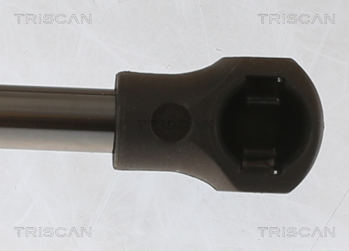 TRISCAN 8710 25281 Gasfjäder, bagageutrymme