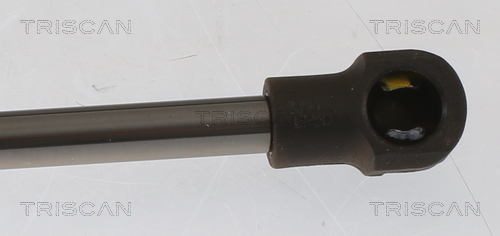 TRISCAN 8710 25282 Gasfjäder, bagageutrymme