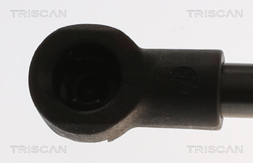 TRISCAN 8710 25287 Gasfeder, Koffer-/Laderaum