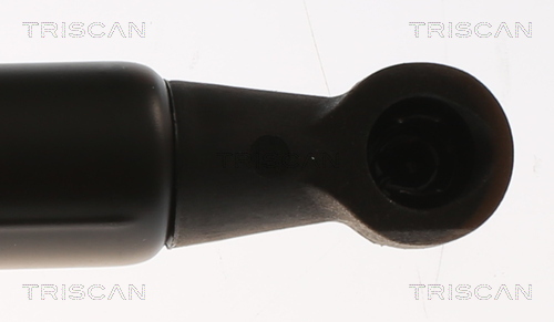 TRISCAN 8710 25287 Gasfeder, Koffer-/Laderaum