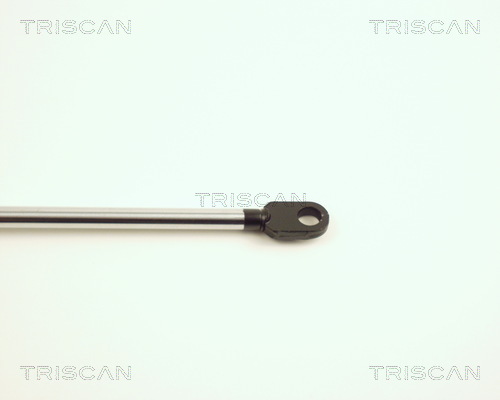 TRISCAN 8710 27101 Gasfeder, Motorhaube