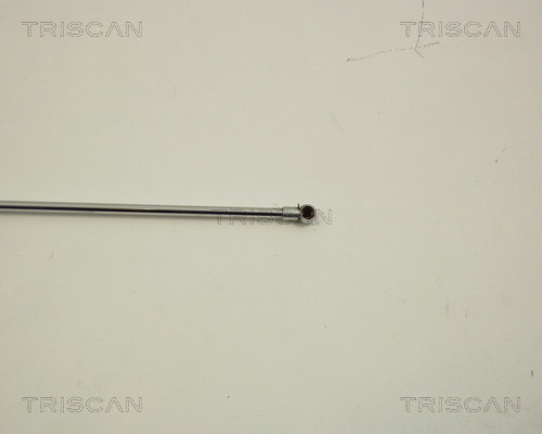 TRISCAN 8710 27102 Gasfeder, Motorhaube