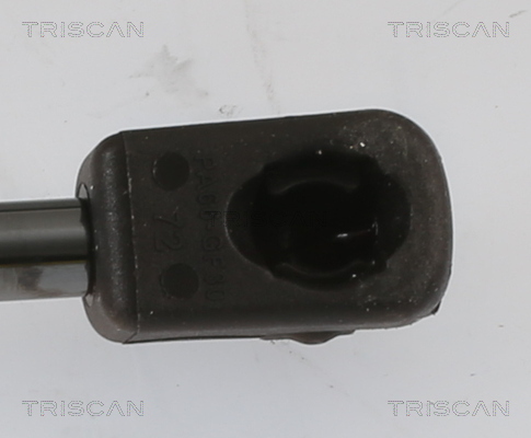 TRISCAN 8710 27110 Gasfeder, Motorhaube