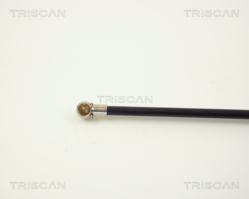 TRISCAN 8710 2719 Gasfjäder, bagageutrymme