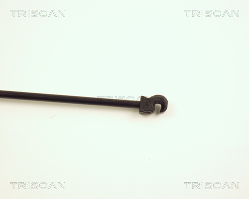 TRISCAN 8710 27210 Gasfjäder, bagageutrymme