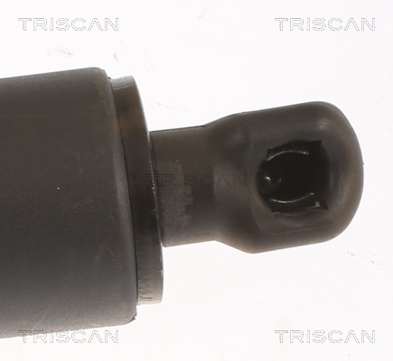 TRISCAN 8710 27304 Gasfjäder, bagageutrymme
