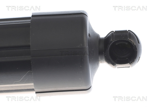 TRISCAN 8710 27310 Gasfeder, Koffer-/Laderaum