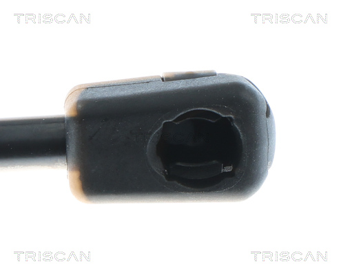 TRISCAN 8710 27311 Gasfeder, Koffer-/Laderaum