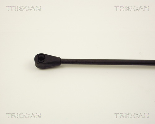 TRISCAN 8710 2805 Gasfjäder, bagageutrymme