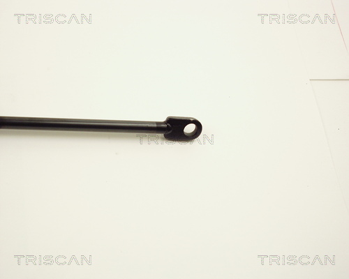 TRISCAN 8710 2809 Gasfjäder, bagageutrymme