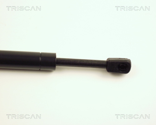 TRISCAN 8710 28101 Gasfeder, Motorhaube