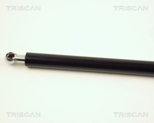 TRISCAN 8710 28102 Gasfeder, Motorhaube