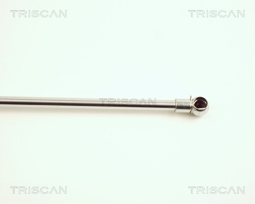 TRISCAN 8710 28102 Gasfeder, Motorhaube