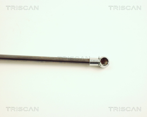 TRISCAN 8710 28104 Gasfeder, Motorhaube