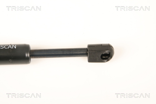TRISCAN 8710 28105 Gasfeder, Motorhaube