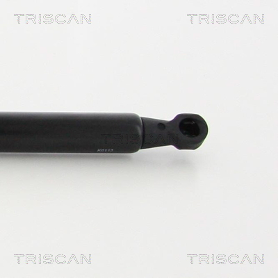 TRISCAN 8710 28106 Gasfeder, Motorhaube