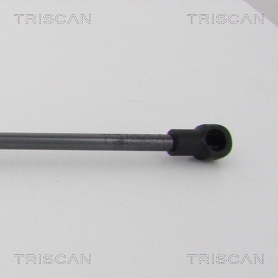 TRISCAN 8710 28107 Gasfeder, Motorhaube