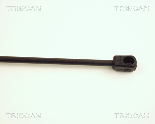TRISCAN 8710 28213 Gasfjäder, bagageutrymme