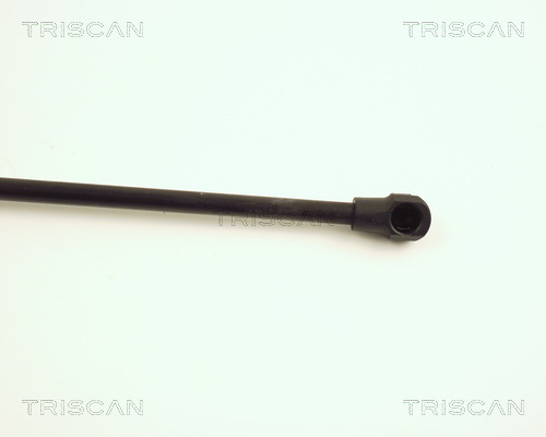 TRISCAN 8710 28219 Gasfjäder, bagageutrymme