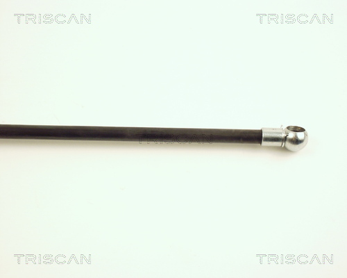 TRISCAN 8710 28224 Gasfjäder, bagageutrymme