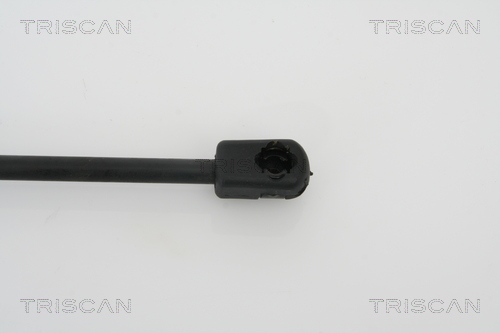 TRISCAN 8710 28228 Gasfeder, Heckscheibe