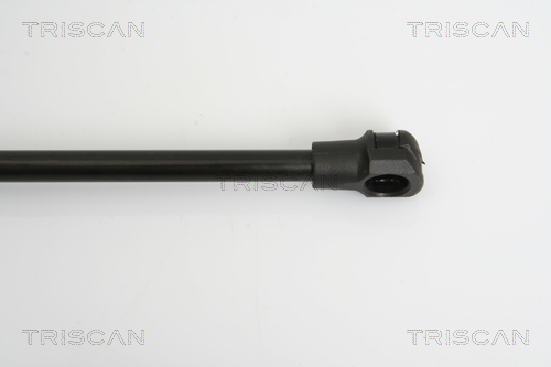 TRISCAN 8710 28235 Gasfeder, Heckscheibe
