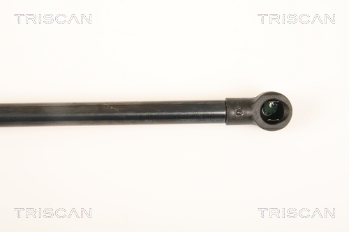 TRISCAN 8710 28238 Gasfjäder, bagageutrymme