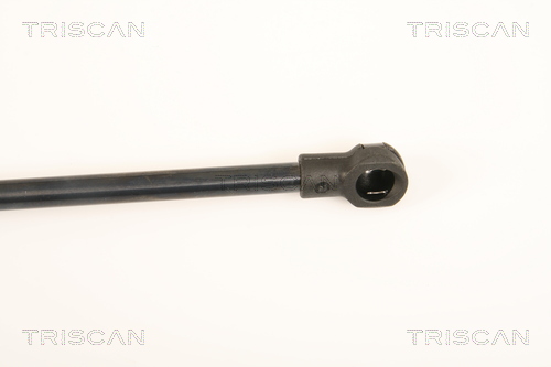 TRISCAN 8710 28239 Gasfeder, Heckscheibe