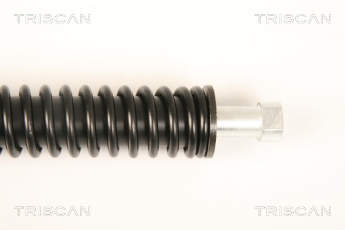 TRISCAN 8710 28244 Gasfeder, Koffer-/Laderaum