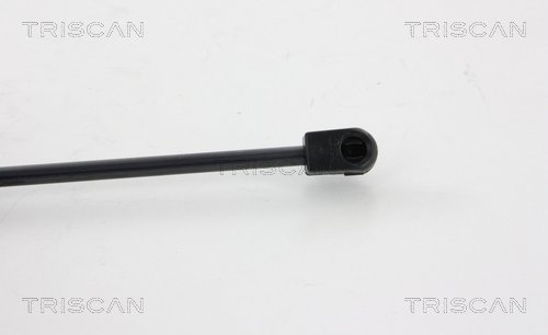 TRISCAN 8710 28245 Gasfjäder, bagageutrymme