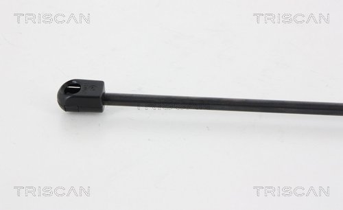 TRISCAN 8710 28246 Gasfeder, Heckscheibe
