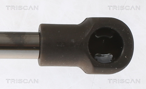 TRISCAN 8710 28251 Gasfeder, Koffer-/Laderaum