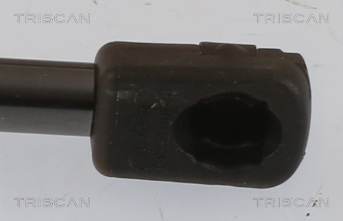 TRISCAN 8710 28252 Gasfjäder, bagageutrymme