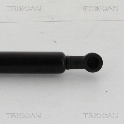 TRISCAN 8710 28293 Gasfjäder, bagageutrymme