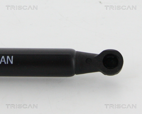 TRISCAN 8710 28294 Gasfeder, Koffer-/Laderaum