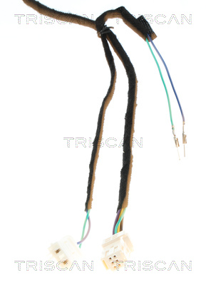 TRISCAN 8710 28301 Gasfeder, Koffer-/Laderaum