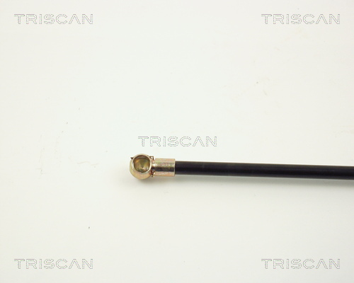 TRISCAN 8710 2902 Gasfjäder, bagageutrymme