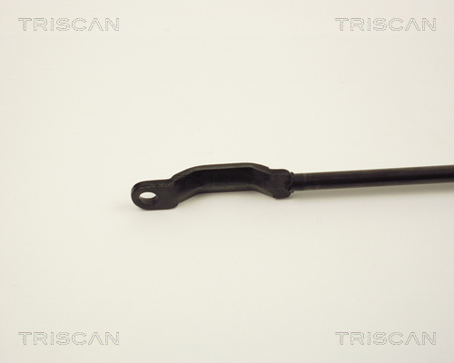 TRISCAN 8710 2907 Gasfjäder, bagageutrymme