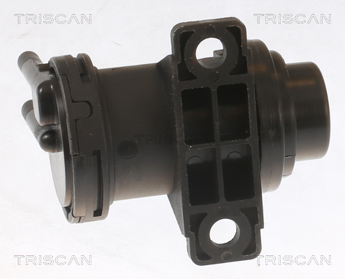 TRISCAN 8710 29101 Gasfeder, Motorhaube
